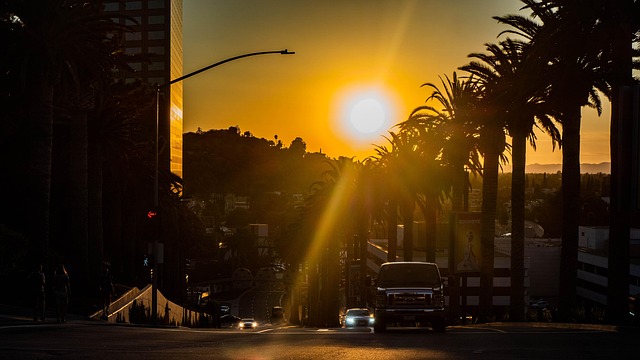 Local Support & Legal Aid for Telemarketing Harassment Victims in LA