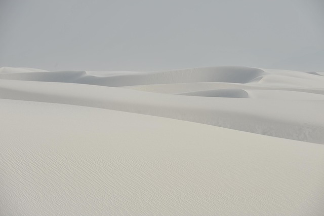 npressfetimg-1673.png