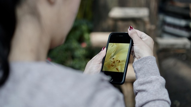 Stop Robocalls in New Jersey: Effective Solutions & Legal Rights