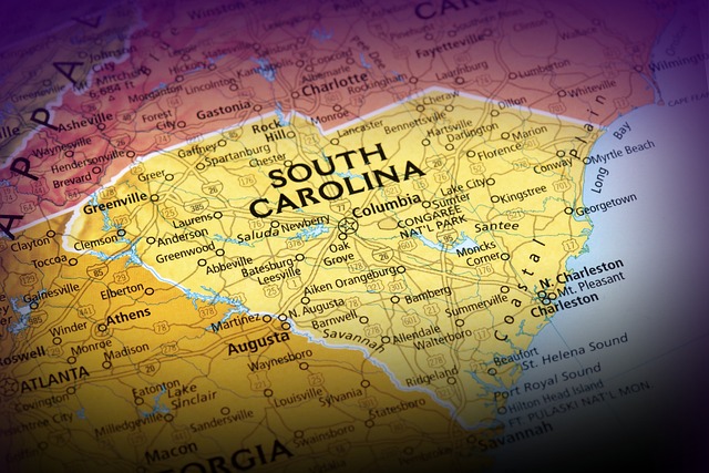 Reporting Spam Phone Numbers: Best Practices for Greenville Residents