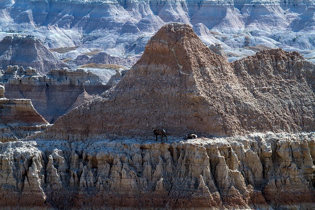 CASL’s Global Impact: Navigating Do Not Call Laws for South Dakota Businesses