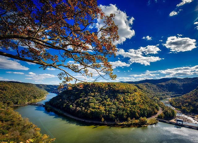 Robocall Blocker Apps: Protecting West Virginia Residents from Unwanted Calls