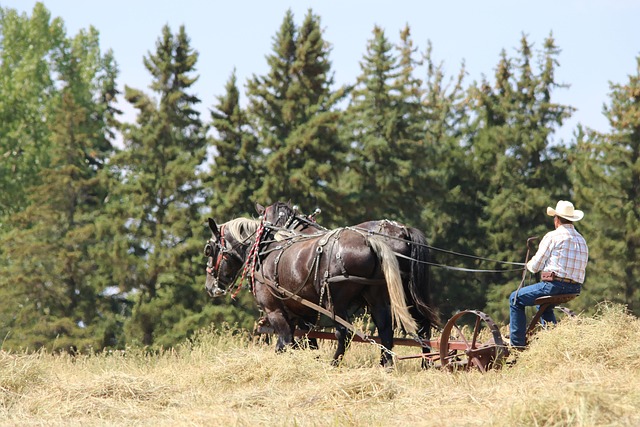 Fargo’s Do Not Call Laws: Public Policy Enforcement and Future Prospects
