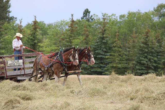 Navigating Legal Pitfalls: Implementing Autodialer Technology in North Dakota