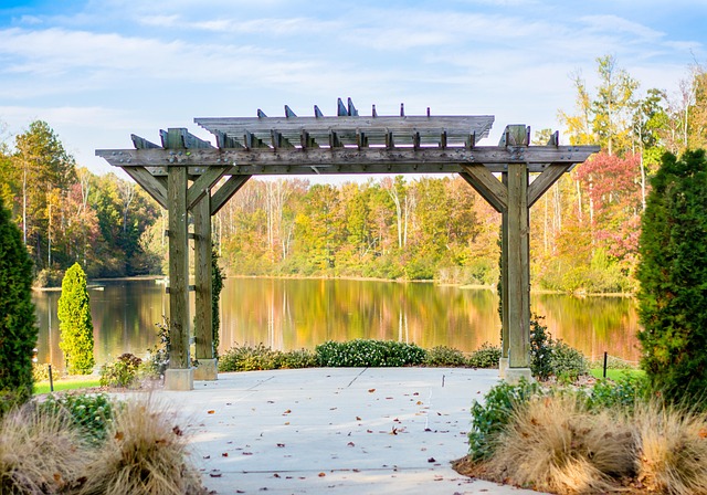 Unwanted Call Solutions: Local Advocacy Groups’ Impact in Cary, NC