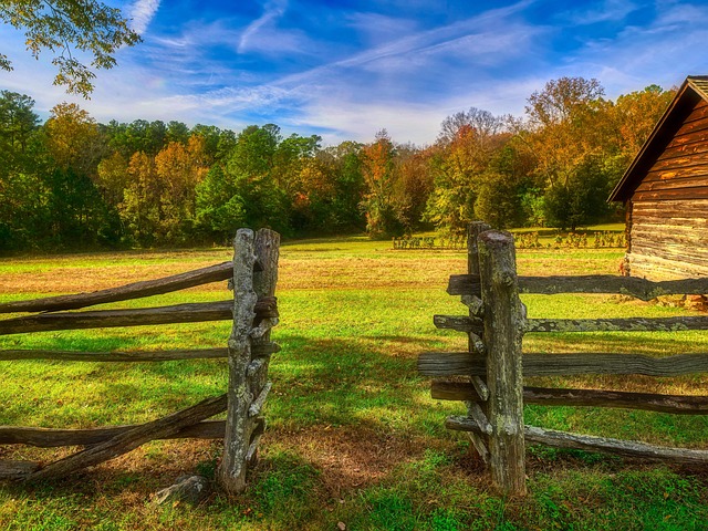 Rutherford County’s Main Street & Do Not Call Laws: Guidance for NC Businesses