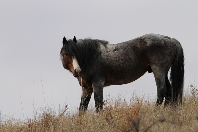 Protecting Beulah Residents: Navigating Do Not Call Laws in North Dakota