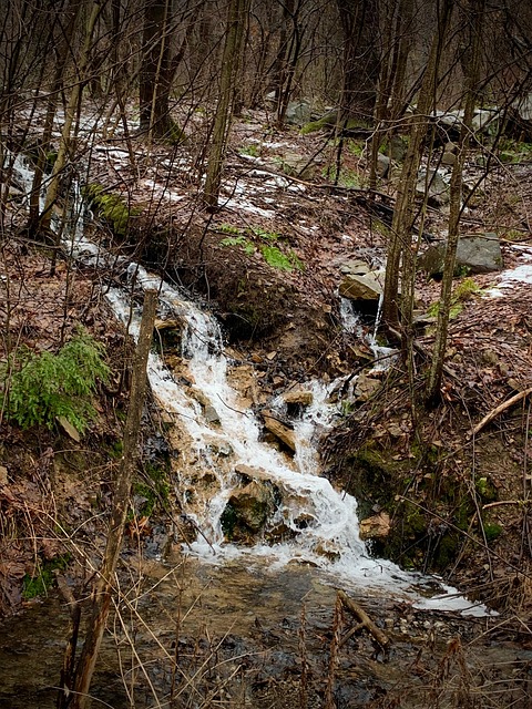 Pennsylvania