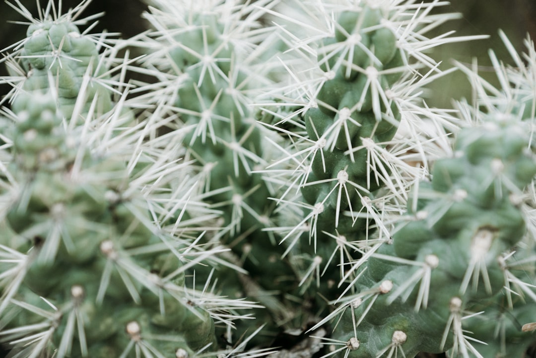 Stay Ahead: Navigating Phoenix’s Autodialer Law Changes with Expert Guidance