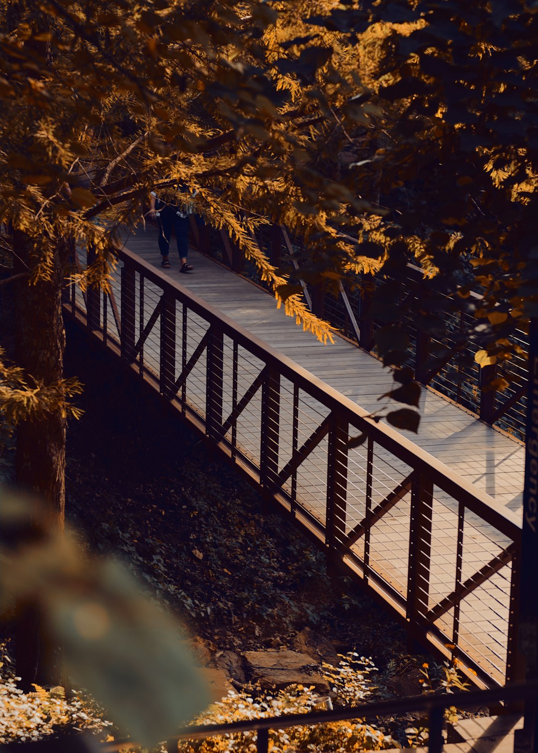 Guiding You Through TCPA Claims in Hot Springs, Arkansas