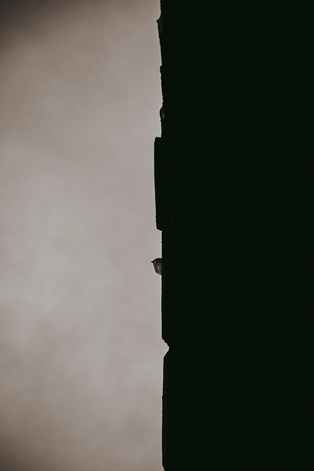 phonecellphonesmartphonelawyertelemarket-640x480-77461636.jpeg