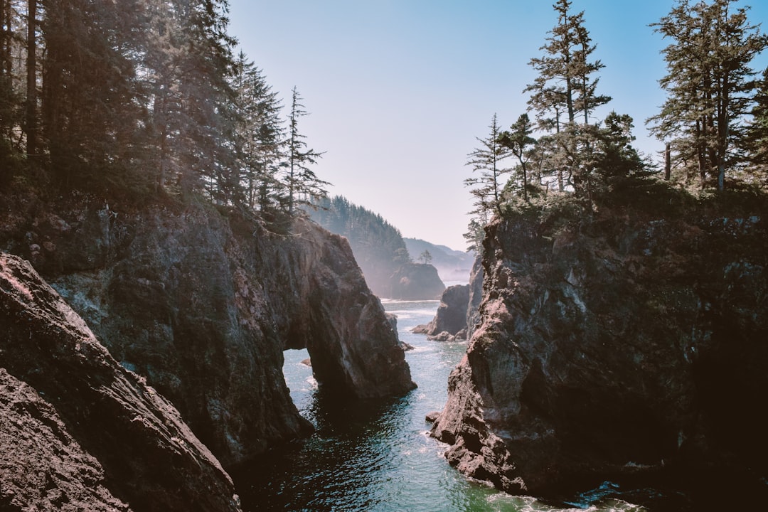 Autodialers & Telecom Law: Navigating Best Practices in Oregon