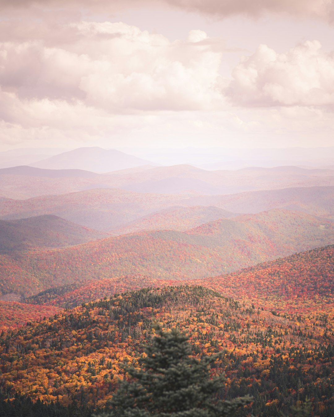 Vermont
