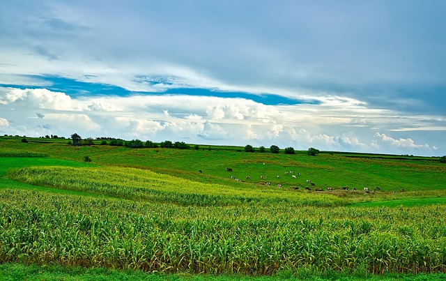 Wisconsin