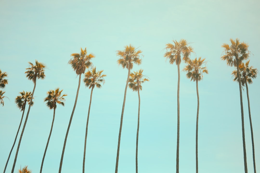 california-640x480-35080207.jpeg
