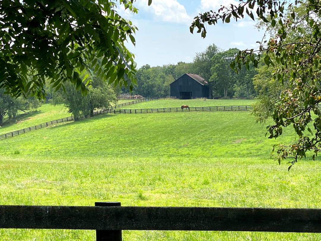 kentucky-640x480-51709965.jpeg