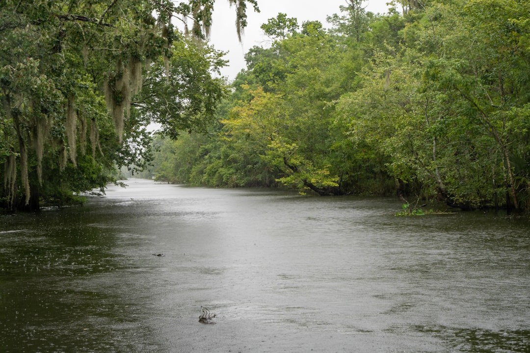 louisana-640x480-39899930.jpeg