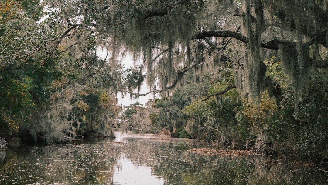 louisiana-640x480-77743319.jpeg