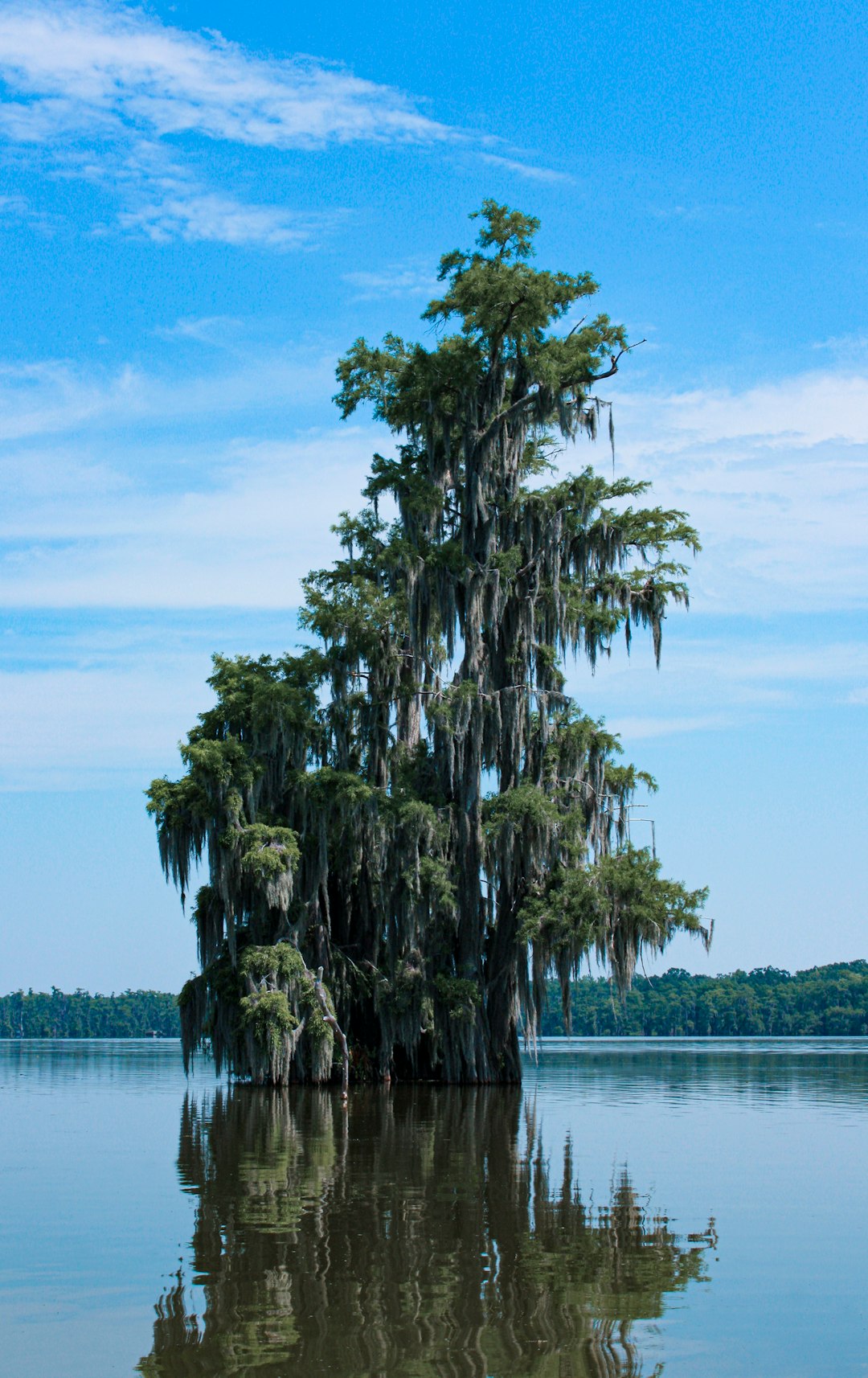 louisiana-640x480-85186753.jpeg