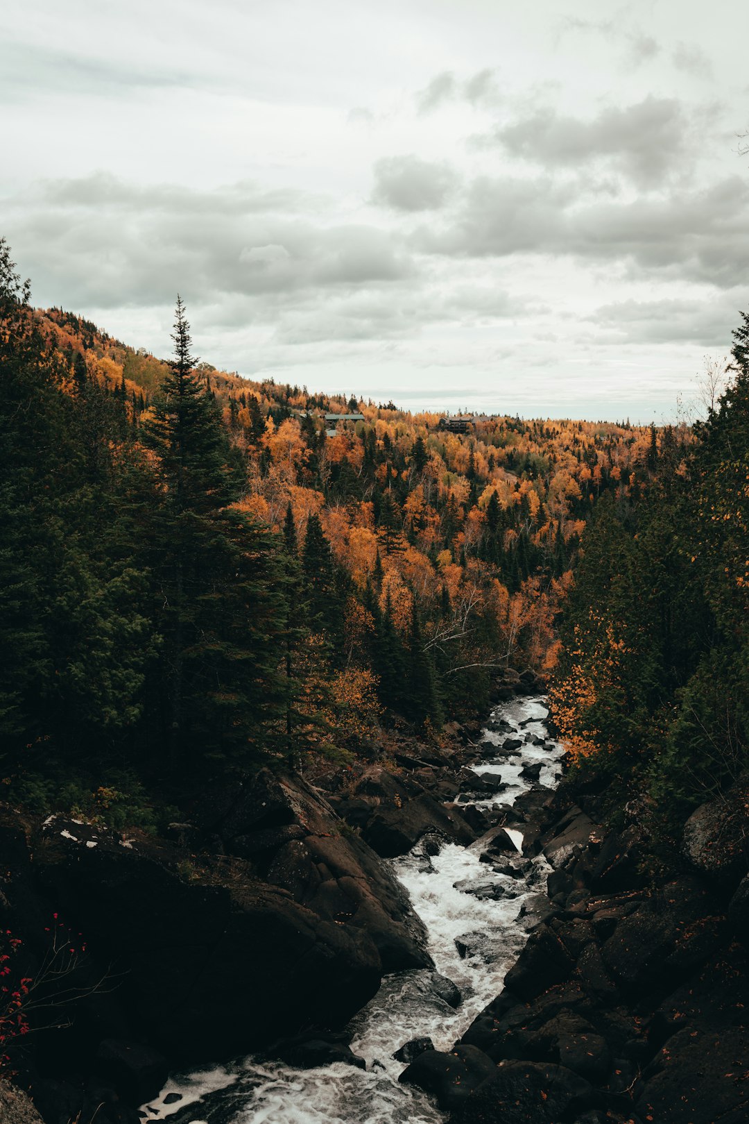 Minnesota