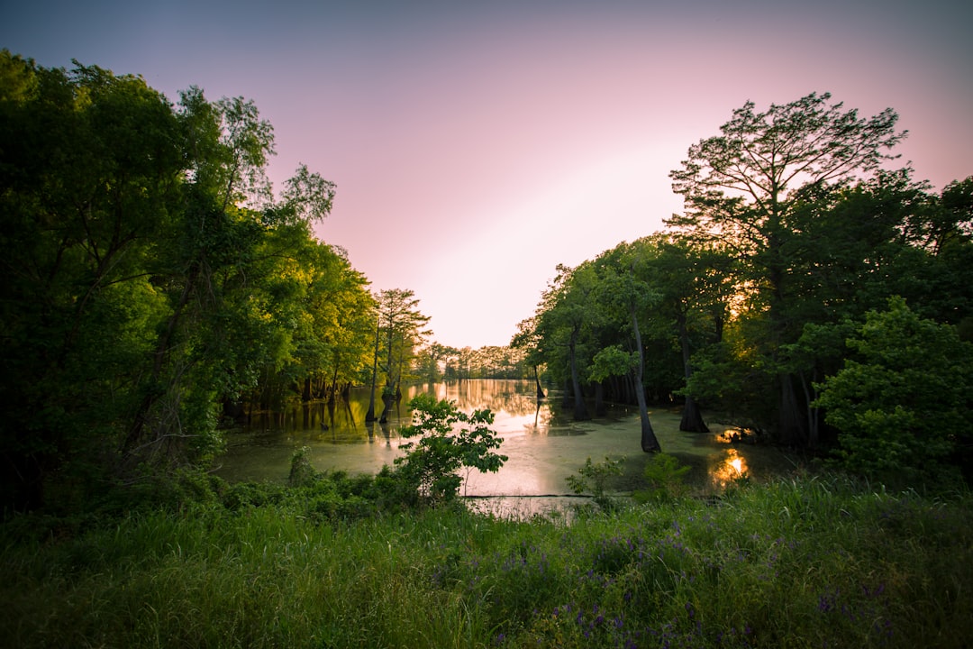 mississippi-640x480-99965135.jpeg