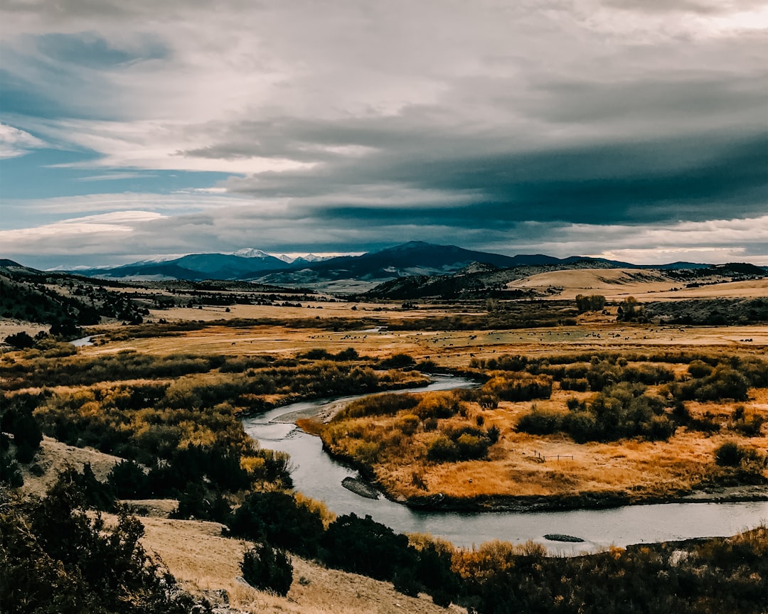 Montana