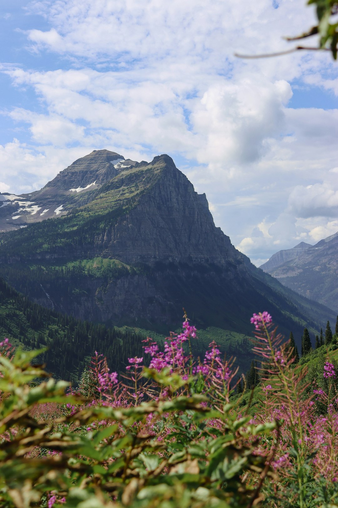 Community Engagement: Reducing Spam Calls in Montana through Local Connections