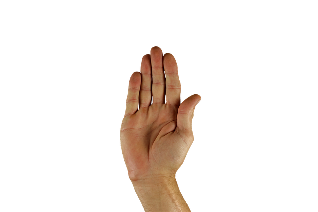 npressfetimg-43.png