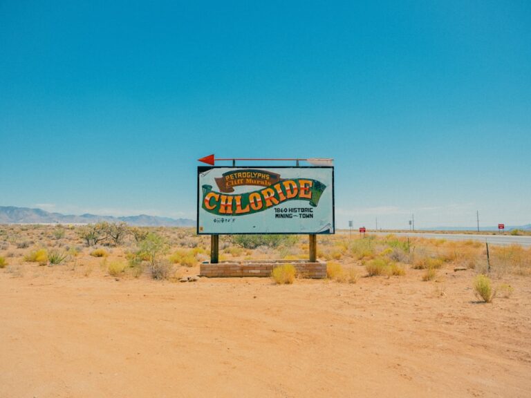 phone,cellphone,smartphone,lawyer,telemarketer,Nevada