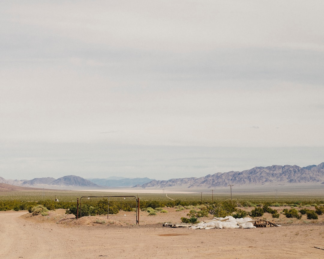 phone,cellphone,smartphone,lawyer,telemarketer,Nevada
