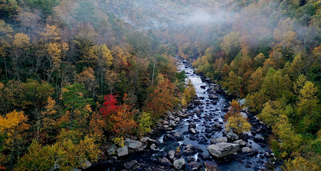 Virginia