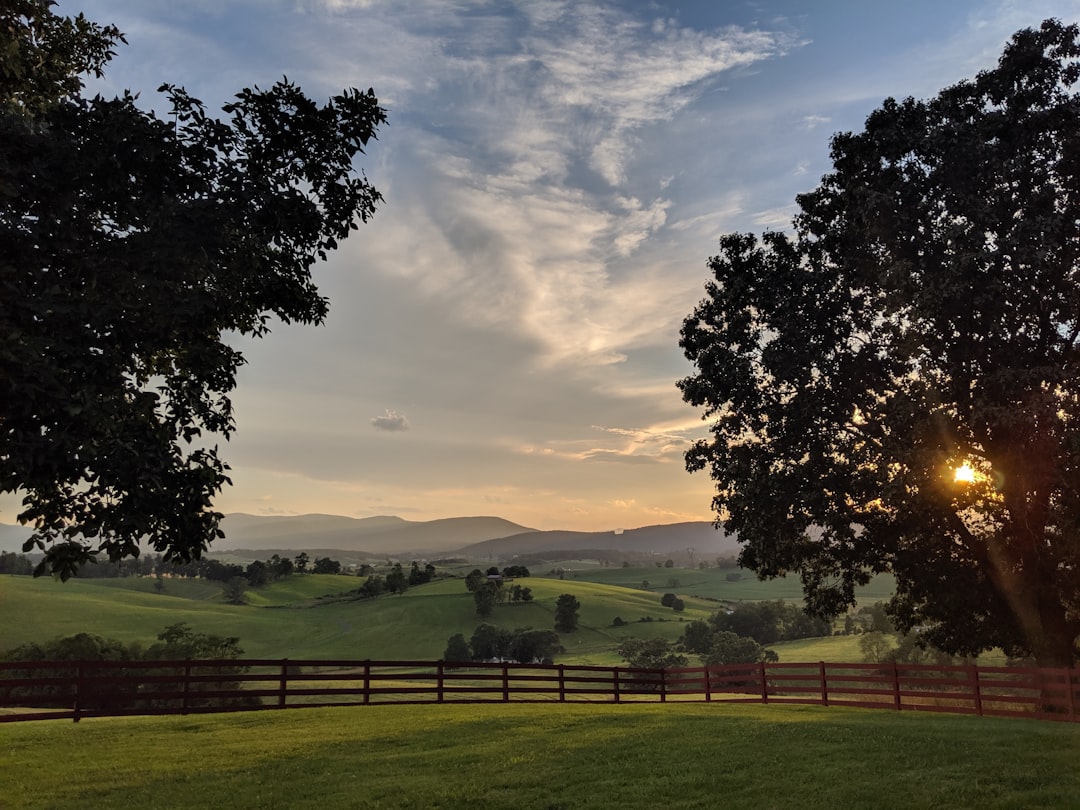 virginia-640x480-97583352.jpeg