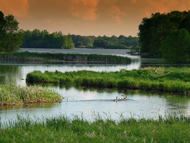 Wisconsin