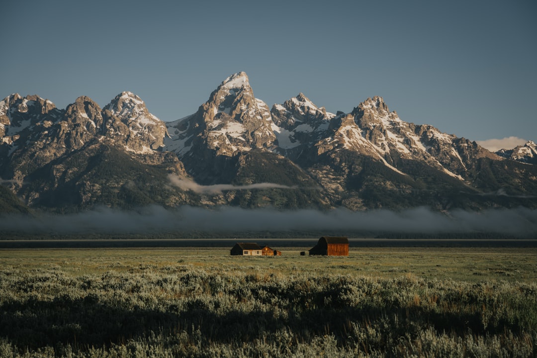 How to Stop Spam Calls: Solutions for Wyoming Residents