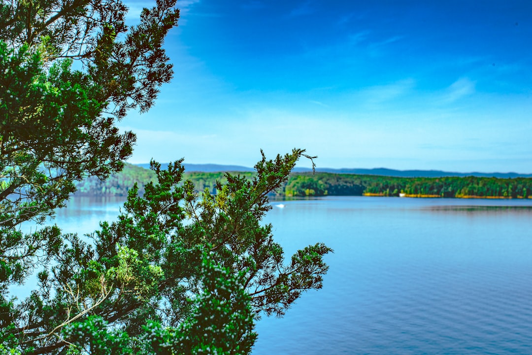 arkansas-640x480-6825861.jpeg