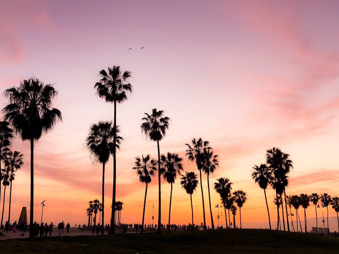 Spam Text California: Crafting a Crisis Communication Plan