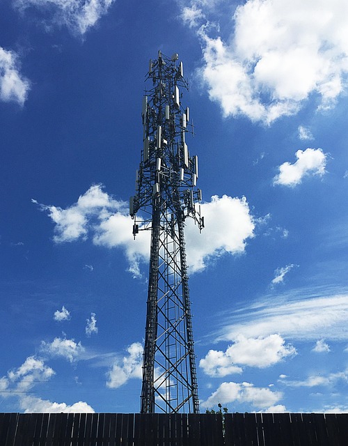 cellphone