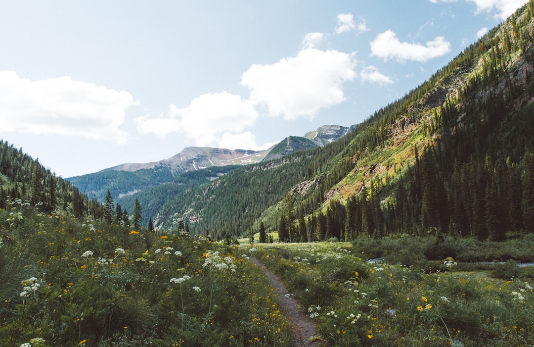 Spam Text Messages in Colorado: Risks, Laws, and Safety Strategies