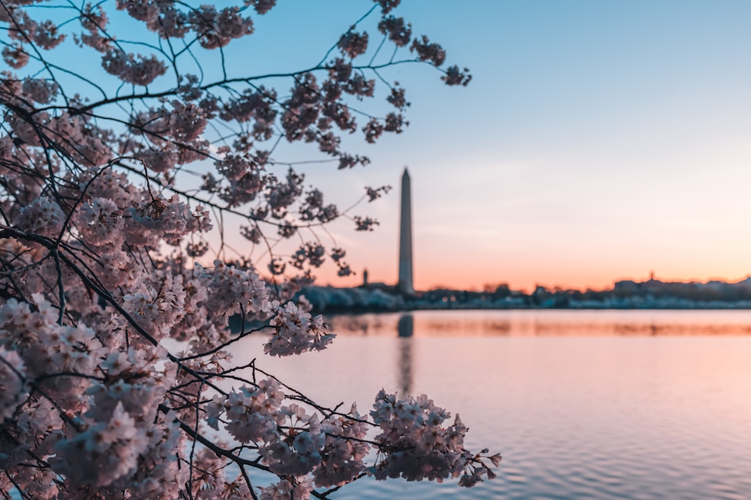 DC