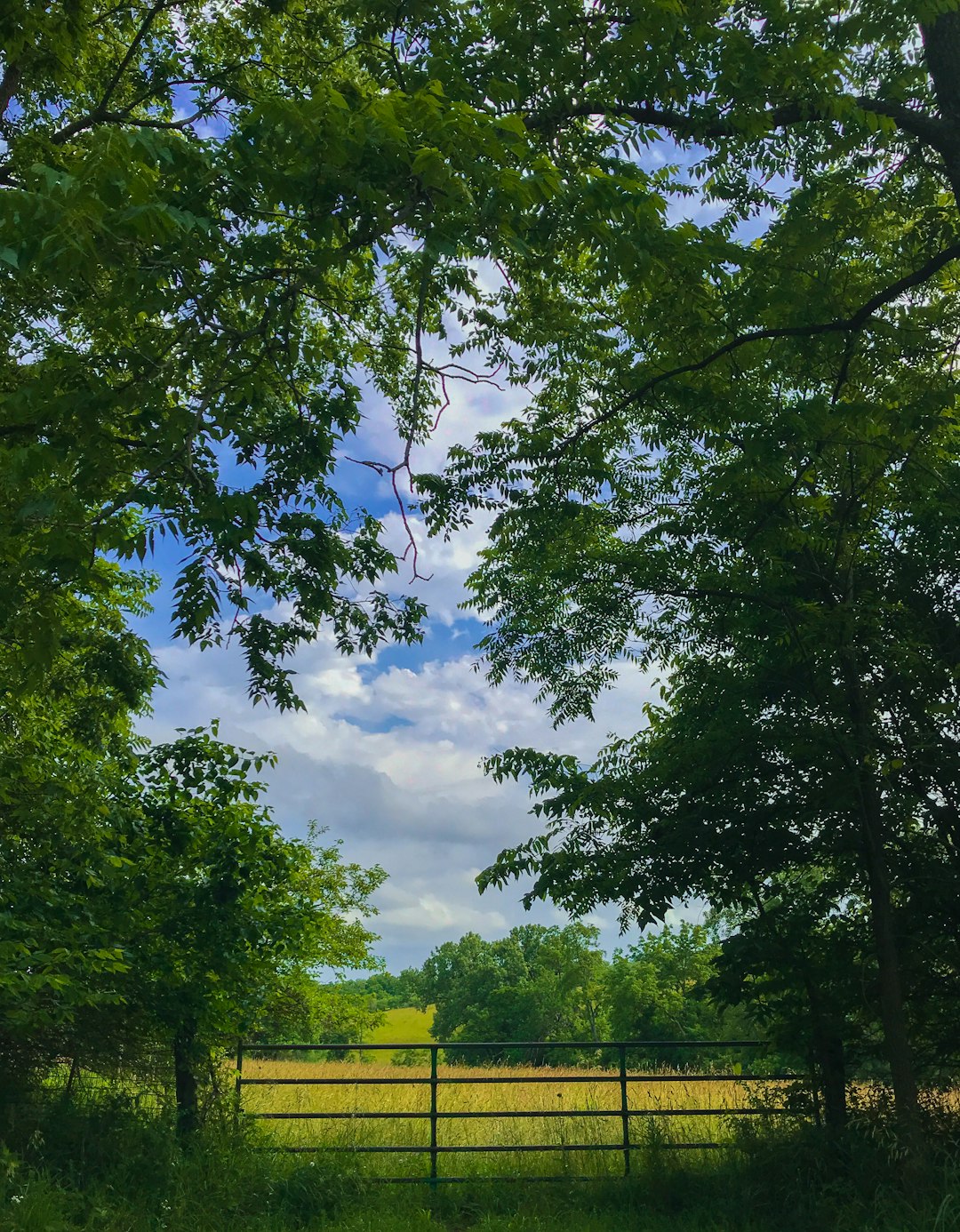 Iowa