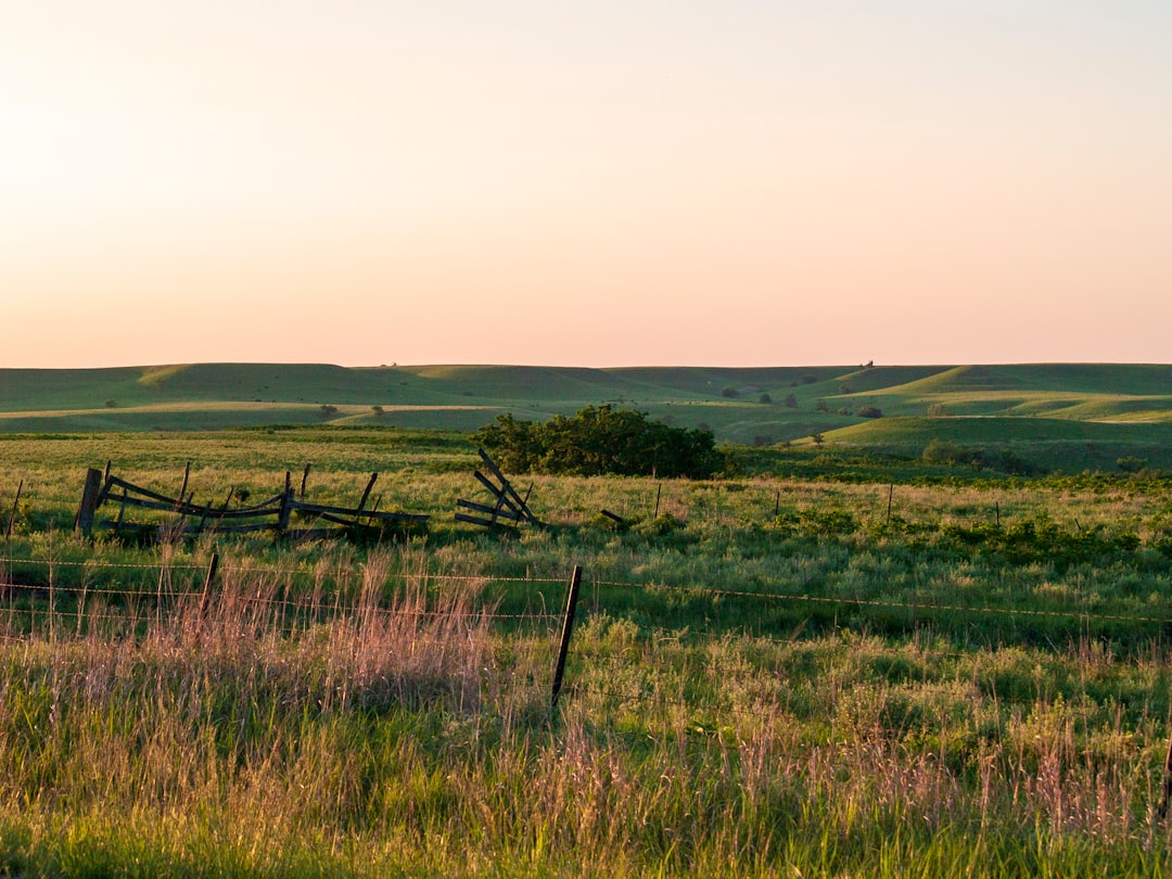 kansas-640x480-49104346.jpeg