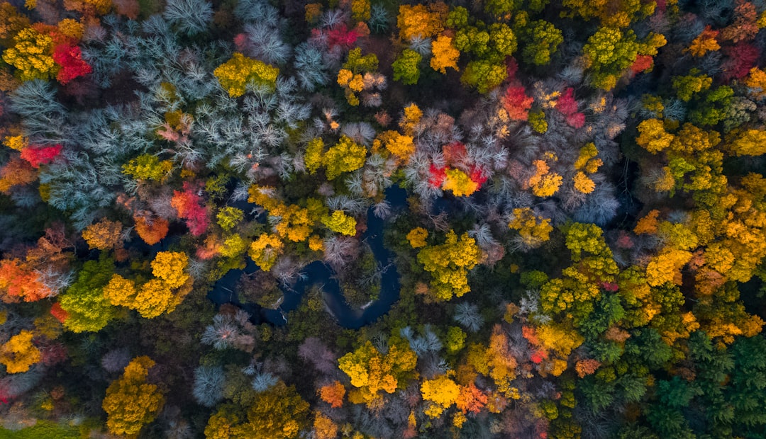 Massachusetts