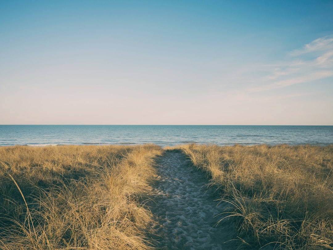 Federal vs Michigan Do Not Call Laws: What Every Business Needs to Know