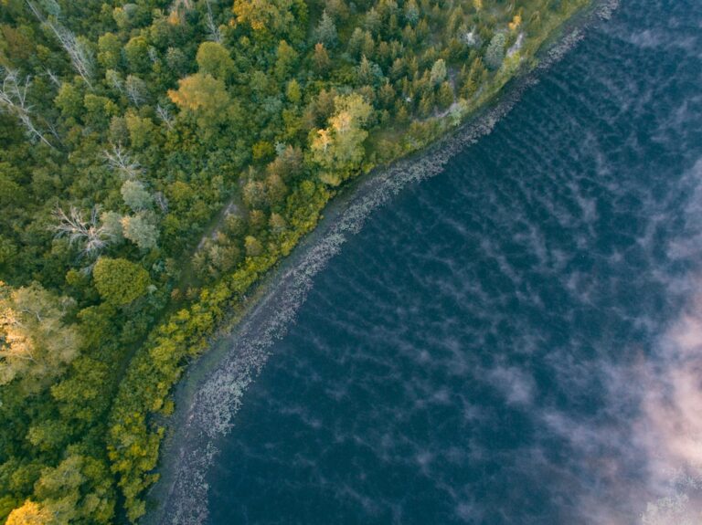 Michigan