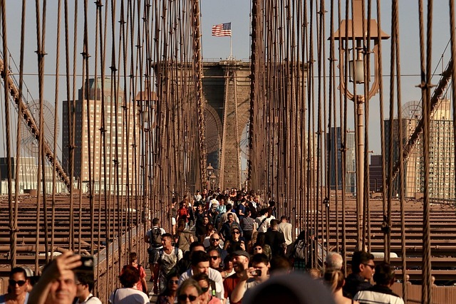 Navigating Misdirected Debt Collection Calls: Rights & Steps for New Yorkers