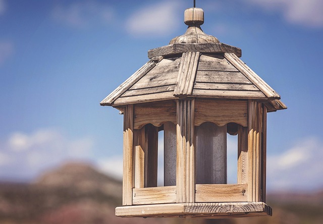 Navigating Do Not Call Rules for Charities in New Mexico’s Carlsbad