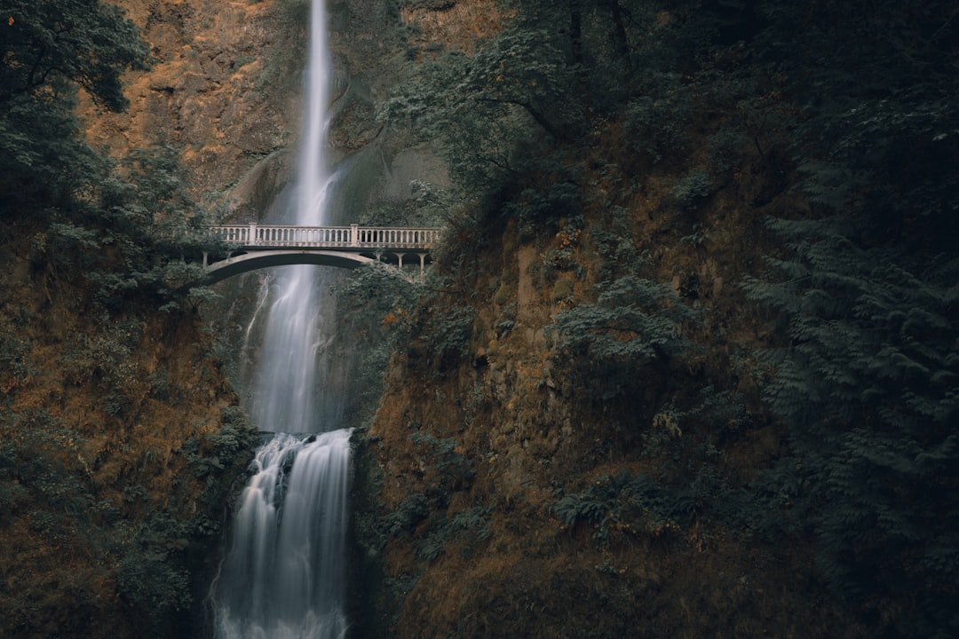 Spam Calls: Legal Protections & Oregon Business Impact