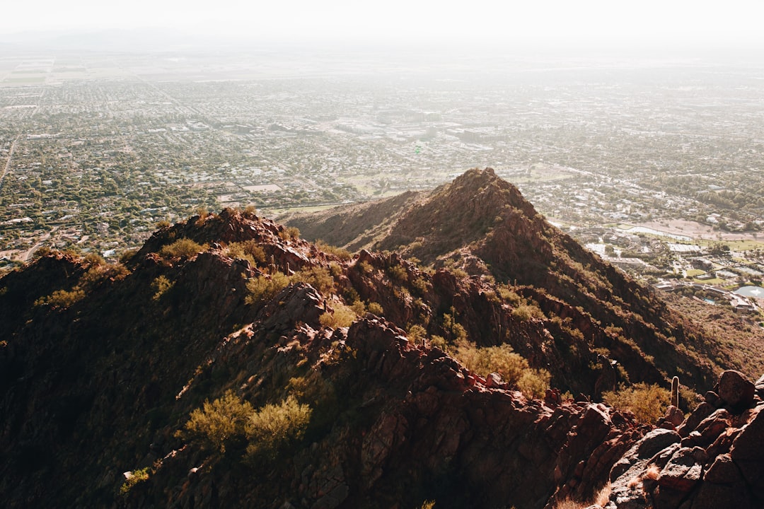 Unmasking Scams: Spotting Fake Wine Tour Texts in Phoenix