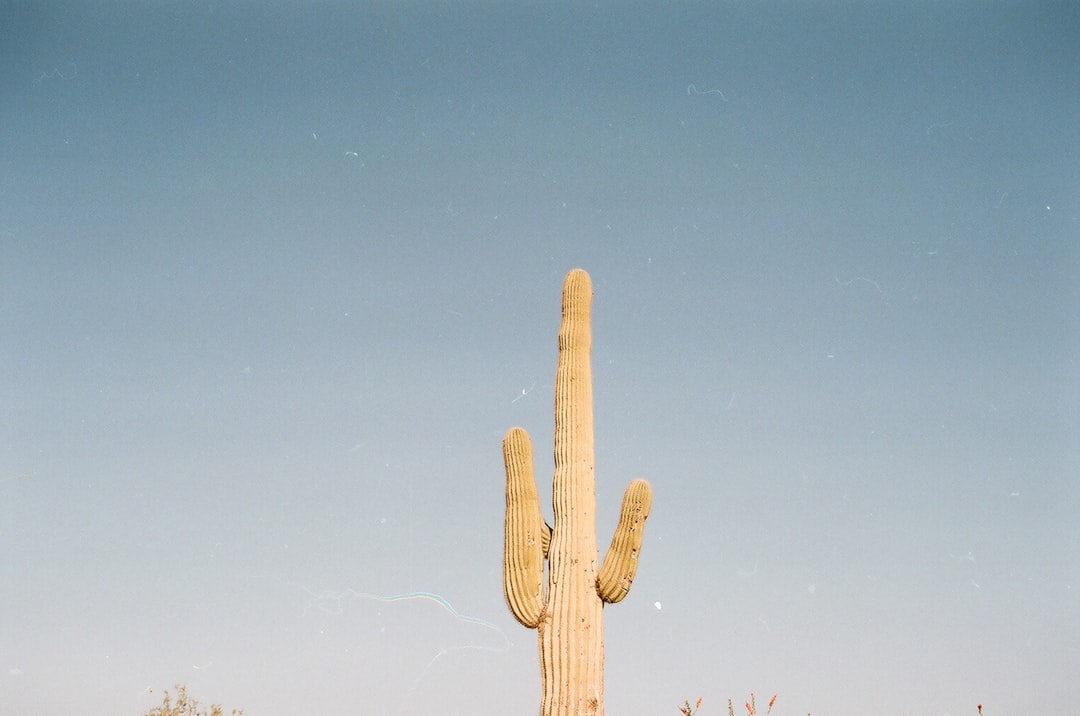 phone,cellphone,smartphone,lawyer,telemarketer,Arizona