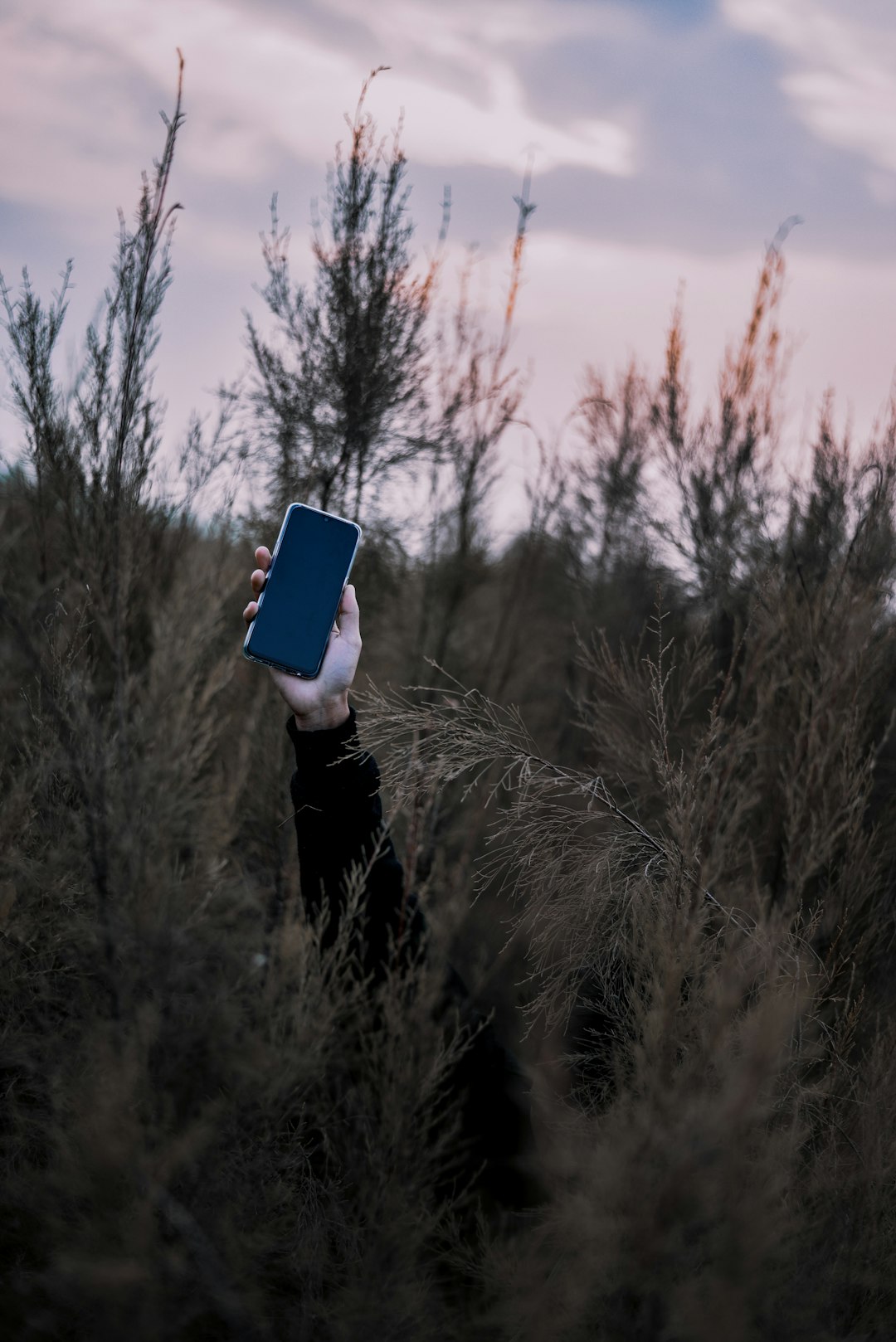 phone,cellphone,smartphone,lawyer,telemarketer,Nevada